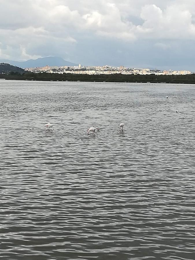 Su Murdegu Cagliari Exteriér fotografie