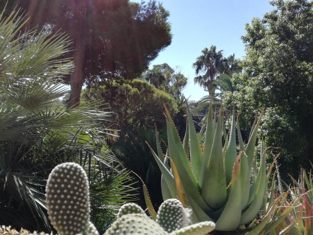 Su Murdegu Cagliari Exteriér fotografie